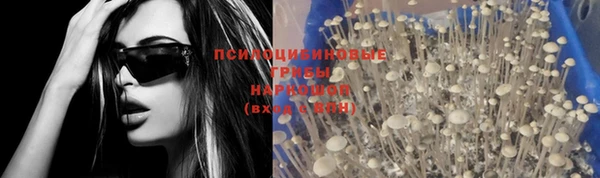 индика Абдулино