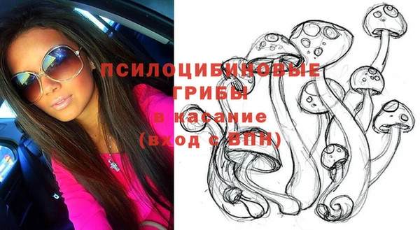 индика Абдулино